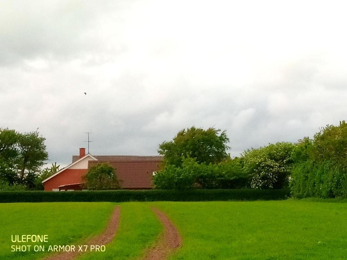Lilleledgaard frilands hus Villa Ringkøbing Exteriör bild